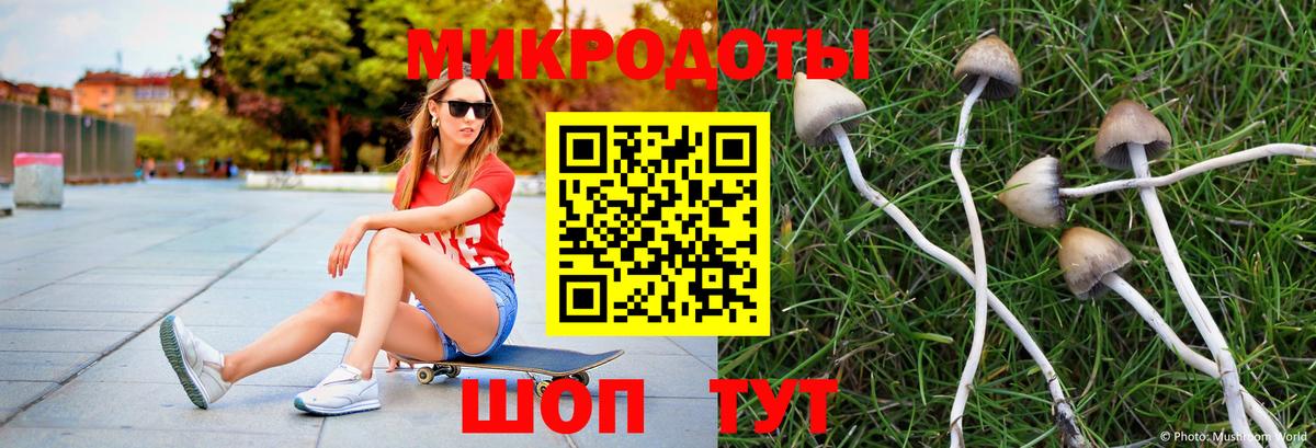 сколько стоит  Галлюциногенные грибы MAGIC MUSHROOMS  Псилоцибиновые грибы Psilocybine cubensis  Вход с VPN  Строитель 